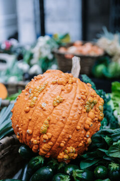 Closeup of fresh orange warty bumpy pumpkin placed on heap of green vegetables on stall of farmers market during harvesting season