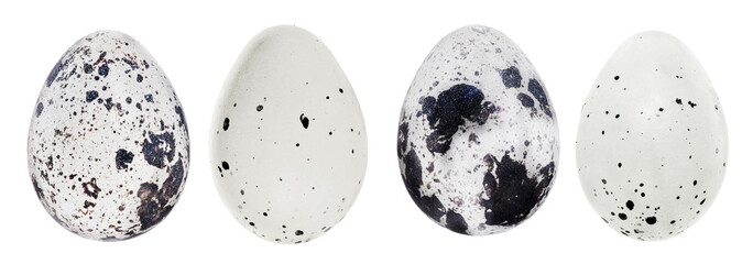 four black and white spotted eggs