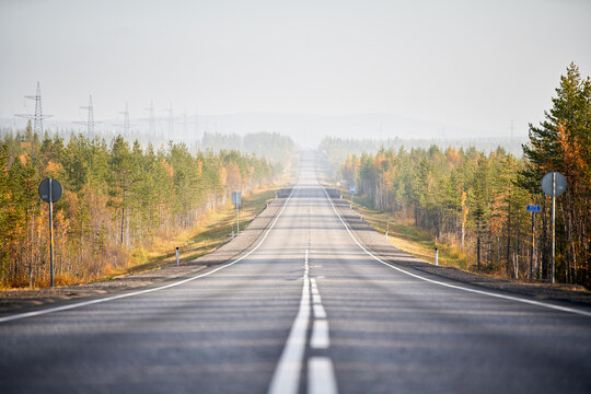 Ground level of straight empty road going through coniferous woods in autumn on sunny day