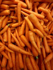 beautifully displayed organic locally produced organic carrot