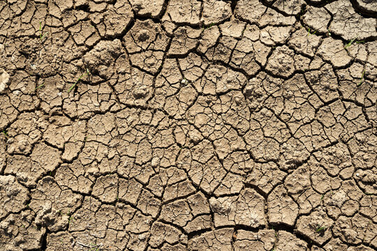 Top view of textured background of arid terrain in desert on sunny day