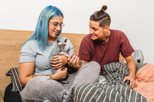 Delighted tattooed woman offering toy to Sphynx cat in hands of plump girlfriend while resting on bed at home together