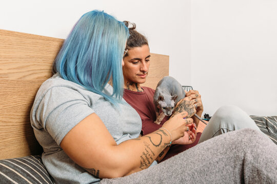 Side view of delighted tattooed woman holding Sphynx cat with plump girlfriend resting on bed at home together
