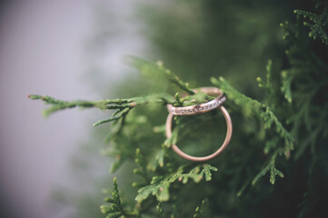 wedding rings