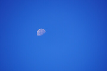 Fototapeta premium Moon at daytime blue sky 