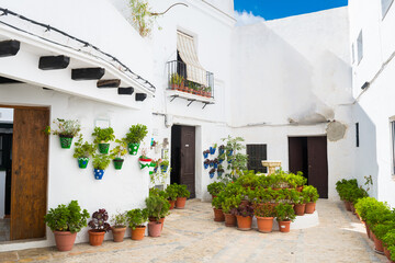 Fototapeta na wymiar beautiful streets of a famous white town in andalusia, Spain