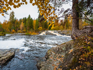 Forest lake with waterfall. Karelia. Russian North