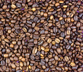 The texture of coffee beans on a pink background