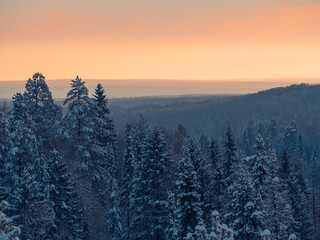 Panorama of winter Stone Hill park in sunlight. Snow-covered conifer forest on a high hill in frosty winter day. Frozen grass and trees in the rays of cold winter Sun.