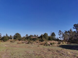 Obraz premium Blue Skies