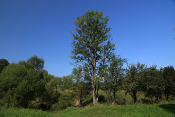 Fototapeta na wymiar Landscape of former village Zubensko in Bieszczady Mountains, Poland