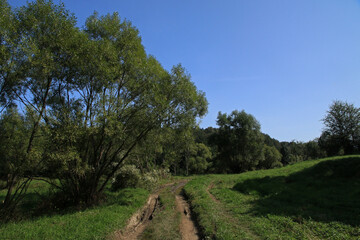 Landscape of former village Zubensko in Bieszczady Mountains, Poland