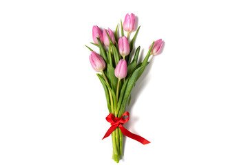 Pink tulips isolate on a white holiday banner. Floral spring background for valentine's day, March 8, birthday, mother's day. copy space