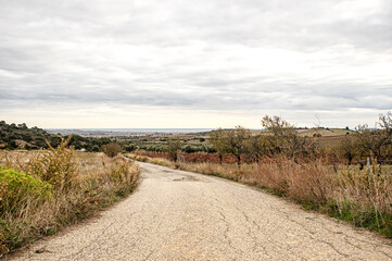 Fototapeta na wymiar Photograph of Pasaggio della Campagna della Sardegna, with Trees and Spontaneous Vegetation, Country Road and Railway in a Rural Scenario, Panoramic View