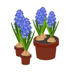 Spring flowers in pots. Vector illustration. Flowers with a bulb. Template for a postcard.