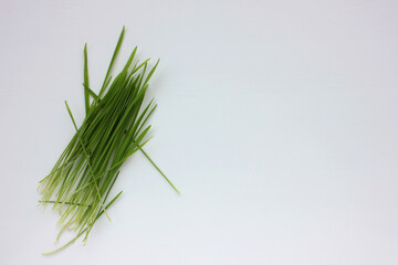 Oat microgreens on a white background. Fresh green sprouted oats. Superfood, vegan and healthy eating concept. Top view, copy space