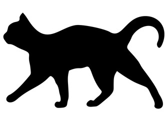 The black cat walks enthusiastically. Vector image.