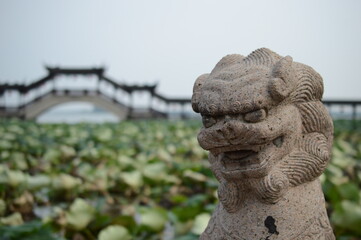Stone lion in front of chinese bridge and lotus leaves