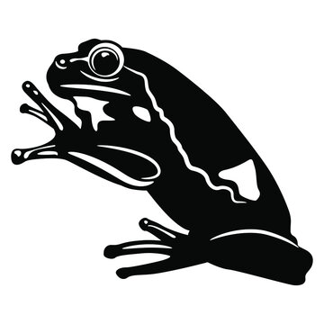 recommend clip art: Black and white silhouette of a frog or toad. (Hyla arborea) Logo style. Isolated vector illustration. 