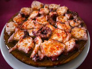 Traditional Galician octopus dish seasoned with oil and paprika  