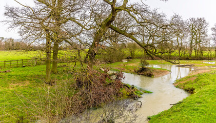 A nature conservation area on the River Welland in winter near Lubenham, UK