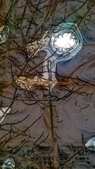 The mysterious light of a street lamp behind the tree branches.
Stylization by outline drawing. It is dark outside in the evening, behind the branches of the trees a street lamp is shining, the lamp h