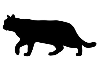 The black cat is sneaking. Vector image.