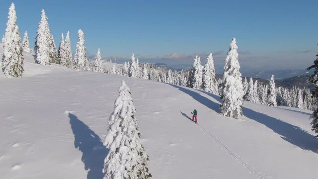 AERIAL: Athletic female tourist hikes up a snowy hill during a ski touring trip in Slovenia. Splitboarder hiking in Velika Planina on a sunny winter day. Flying above woman treading fresh powder.