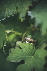 rings at grape