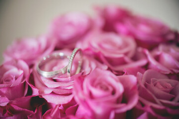 pink roses bouquet