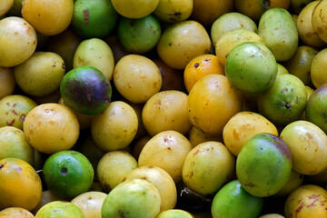 Closeup of Brazil plum bunch, or Umbu in Portuguese, at the market stall