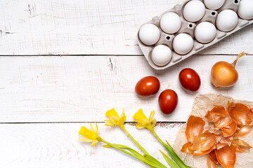 Easter eggs are painted with natural egg dye from fruits and vegetables, eggs are painted with onion husks on a white wooden table and yellow daffodils, copy space