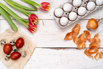 Easter eggs are painted with natural egg dye from fruits and vegetables, eggs are painted with onion husks on a white wooden table and red tulips, copy space