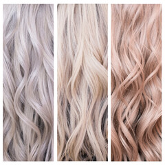 Naklejka premium Blonde hair chart, colours set, samples of cool, neutral and warm tones