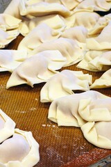 Uncooked Chinese dumplings with meat filling