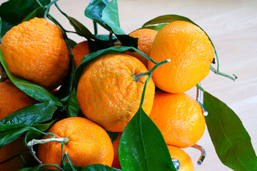 Satsuma orange mandarin fruit with leaves