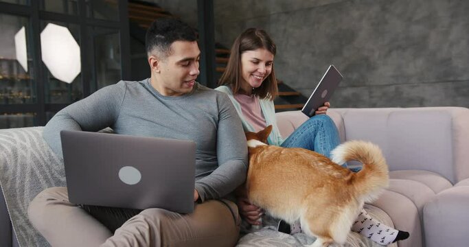 Positive young woman with tablet invites corgi dog to climb on sofa while tanned man works on laptop in living room slow motion