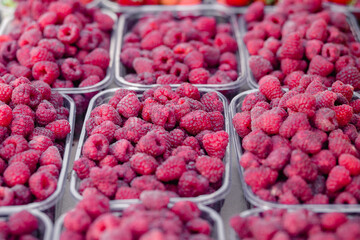 Raspberries in plastic at Produce Stand