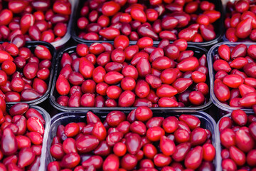 Red dogwood berries in plastic transparent container box