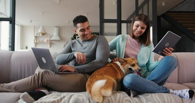 Positive young woman with tablet invites corgi dog to climb on sofa while tanned man works on laptop in living room slow motion