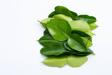Bergamot kaffir lime leaves herb fresh ingredient isolated on white