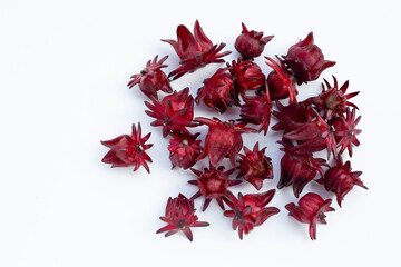 Roselle flower isolated on white