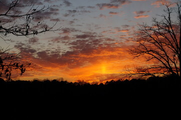 sunset in the woods