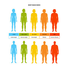 Body mass index - obrazy, fototapety, plakaty