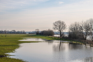Fototapeta na wymiar Landscape with flooded river Maas in Bergen - Noord Limburg, the Netherlands