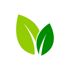 Ecology leaf icon isolated on white background. Vector illustration for graphic design or ecology content