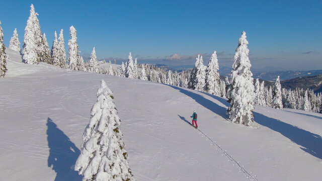DRONE: Female splitboarder is hiking in Velika Planina on a sunny winter day.