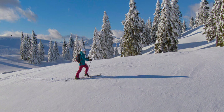 COPY SPACE: Fit young woman hikes up a snowy hill during a splitboarding trip