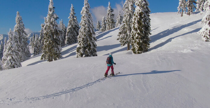 AERIAL: Unrecognizable female ski tourer hikes up an untouched snowy hill.