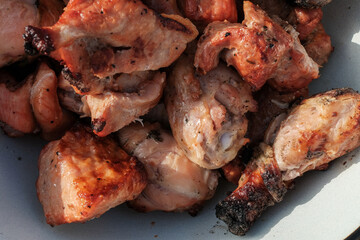 Grilled meat on skewers in a bowl on nature. close up